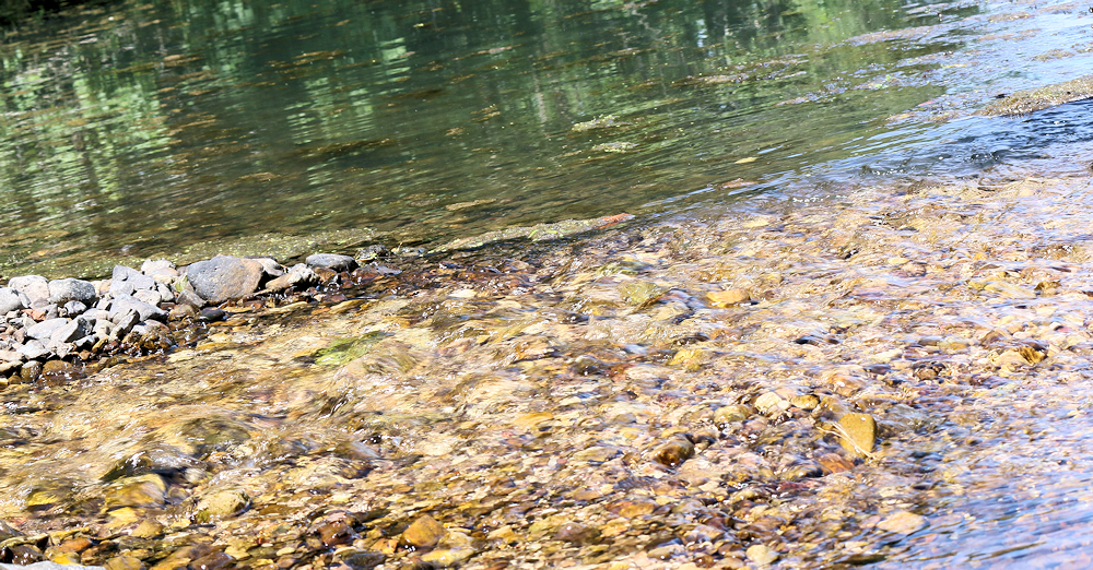 fergusonspringsmain Four Rivers Explorer