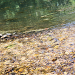 Ferguson Spring