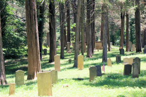 Read more about the article Asbury Cemetery:  Unusual Sights & Ghostly Tales