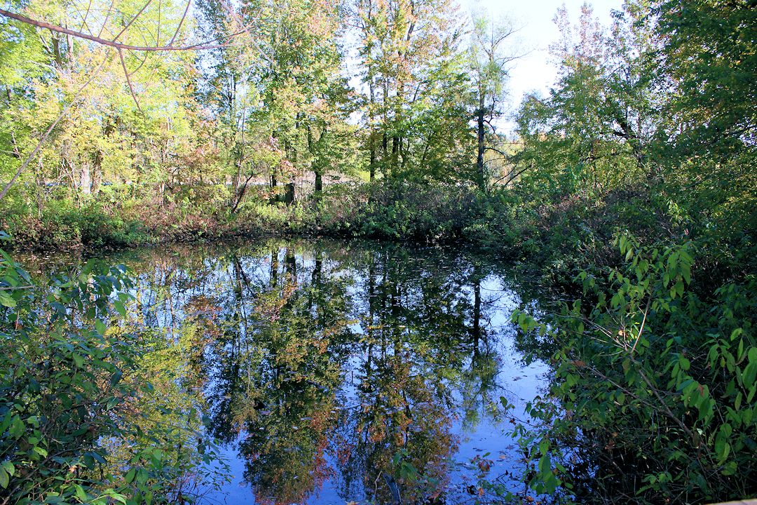 Golden Pond