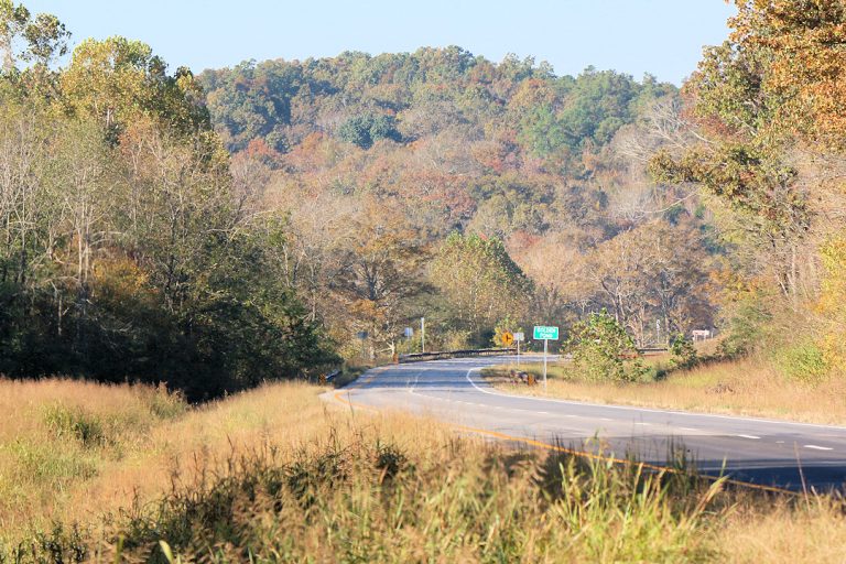 The Life & Death of Golden Pond, Kentucky Four Rivers Explorer