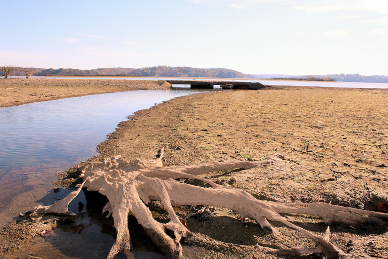 Discoveries While Exploring The Shorelines of Lake Barkley Four