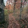 Why Your Family Should Go Geocaching Now