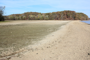 Read more about the article Discoveries While Exploring The Shorelines of Lake Barkley