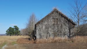 Read more about the article Empire Farm in Land Between The Lakes