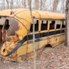 Old School Bus in Land Between The Lakes