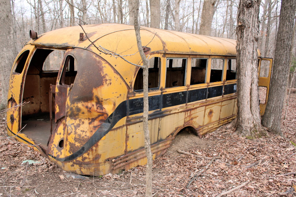 Lost the bus. Заброшенный школьный автобус. Заброшенный американский автобус. Американский школьный автобус. Заброшенный школьный автобус в США.