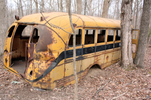 Read more about the article Old School Bus in Land Between The Lakes