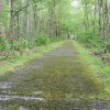 Long Creek National Recreation Trail