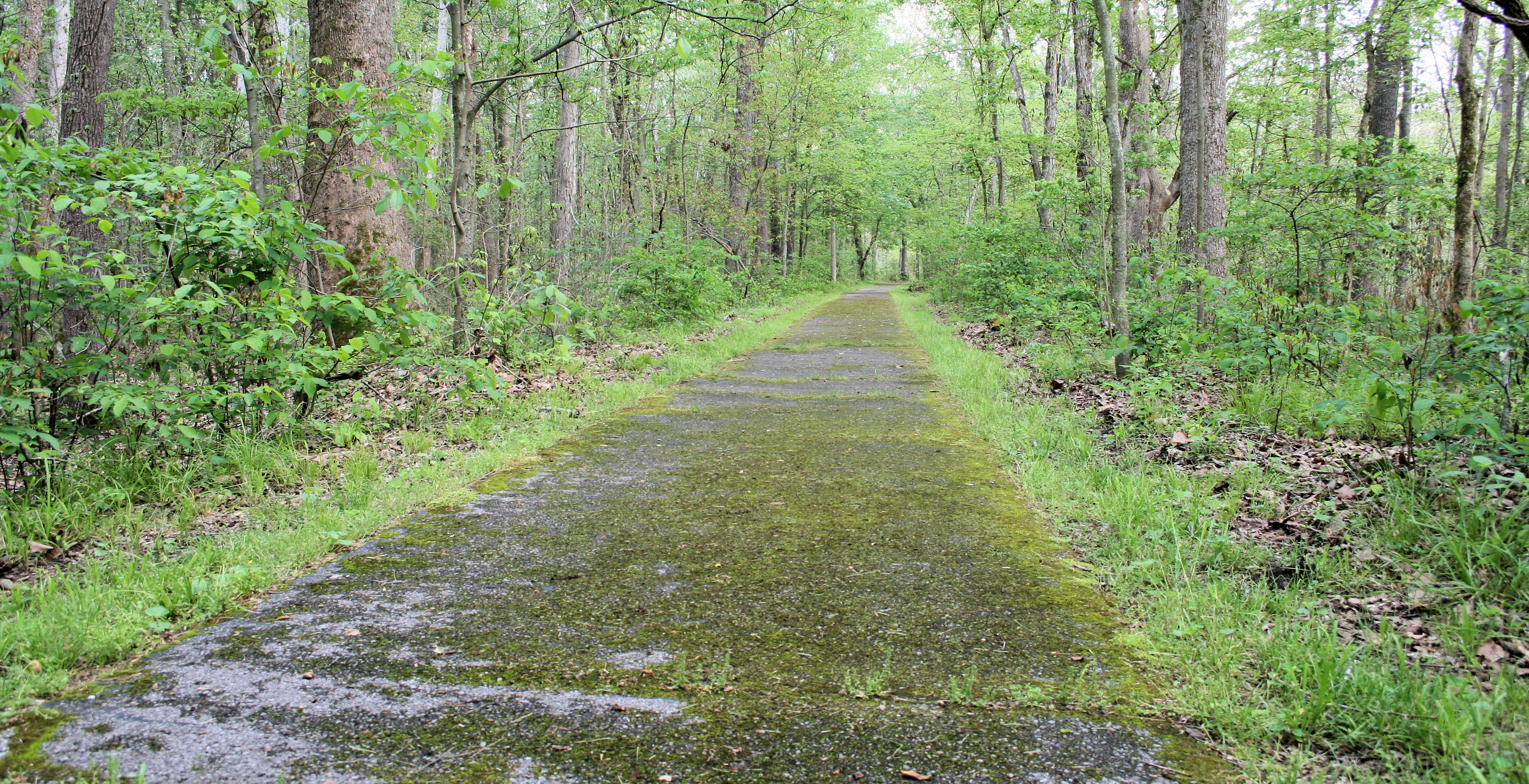 Long Creek National Recreation Trail