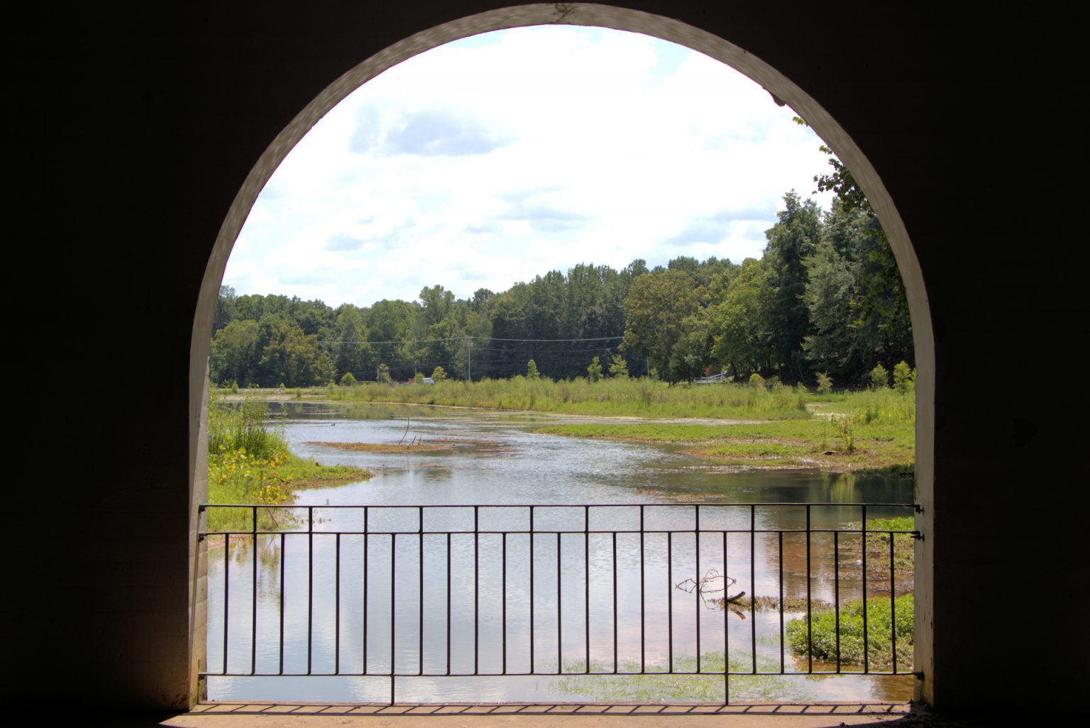 Dunbar Cave State Park Four Rivers Explorer
