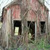 This Old Building in Land Between The Lakes was a Doctor’s Office