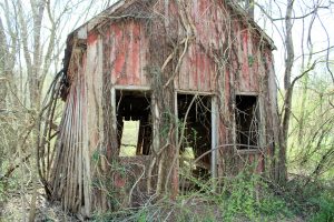 Read more about the article This Old Building in Land Between The Lakes was a Doctor’s Office