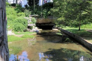 Read more about the article Big Springs Cave in Princeton