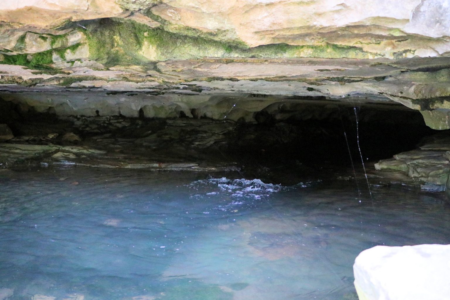 Big Springs Cave in Princeton Four Rivers Explorer