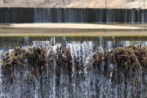 Read more about the article Hematite Lake