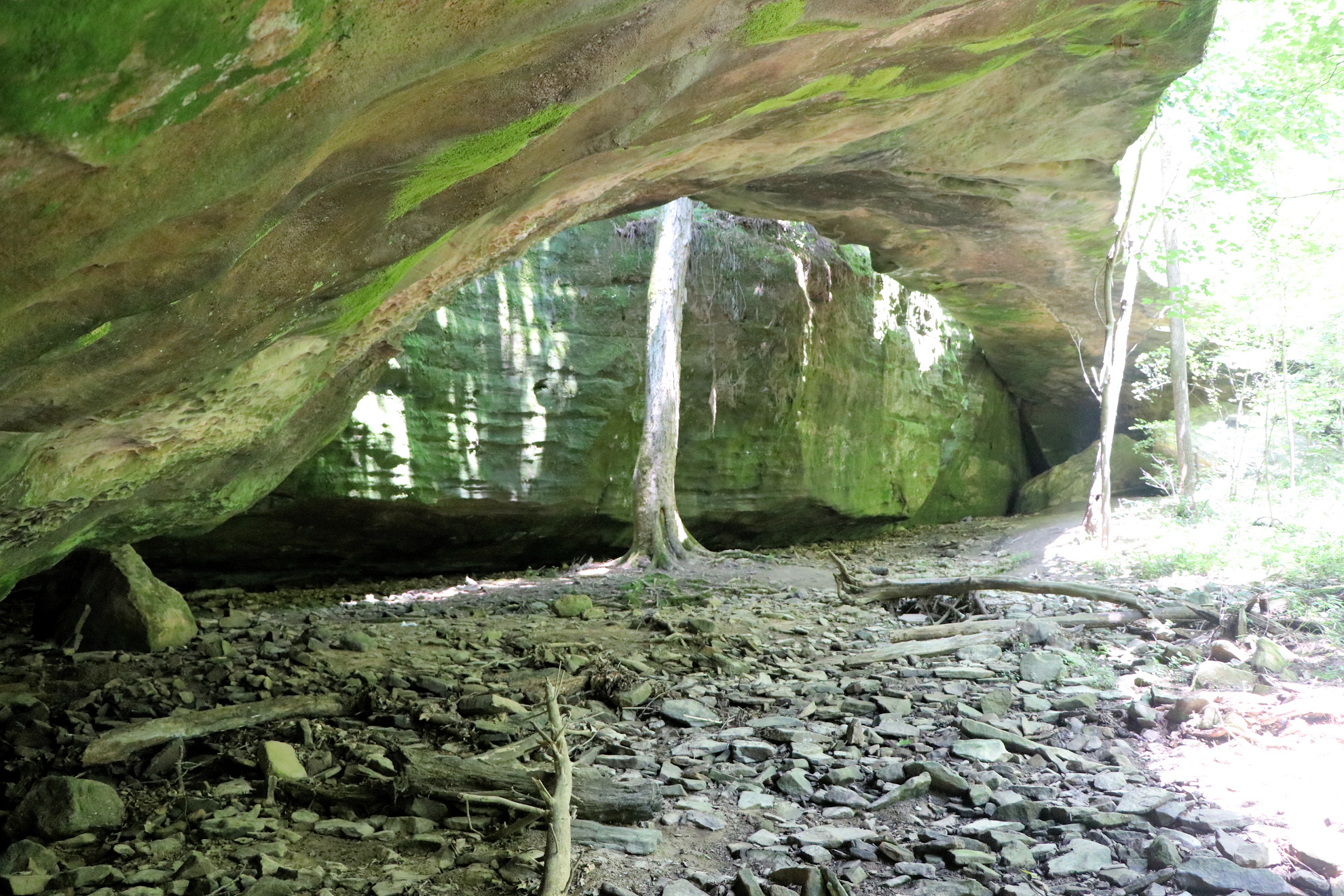 Mantle Rock Nature Preserve