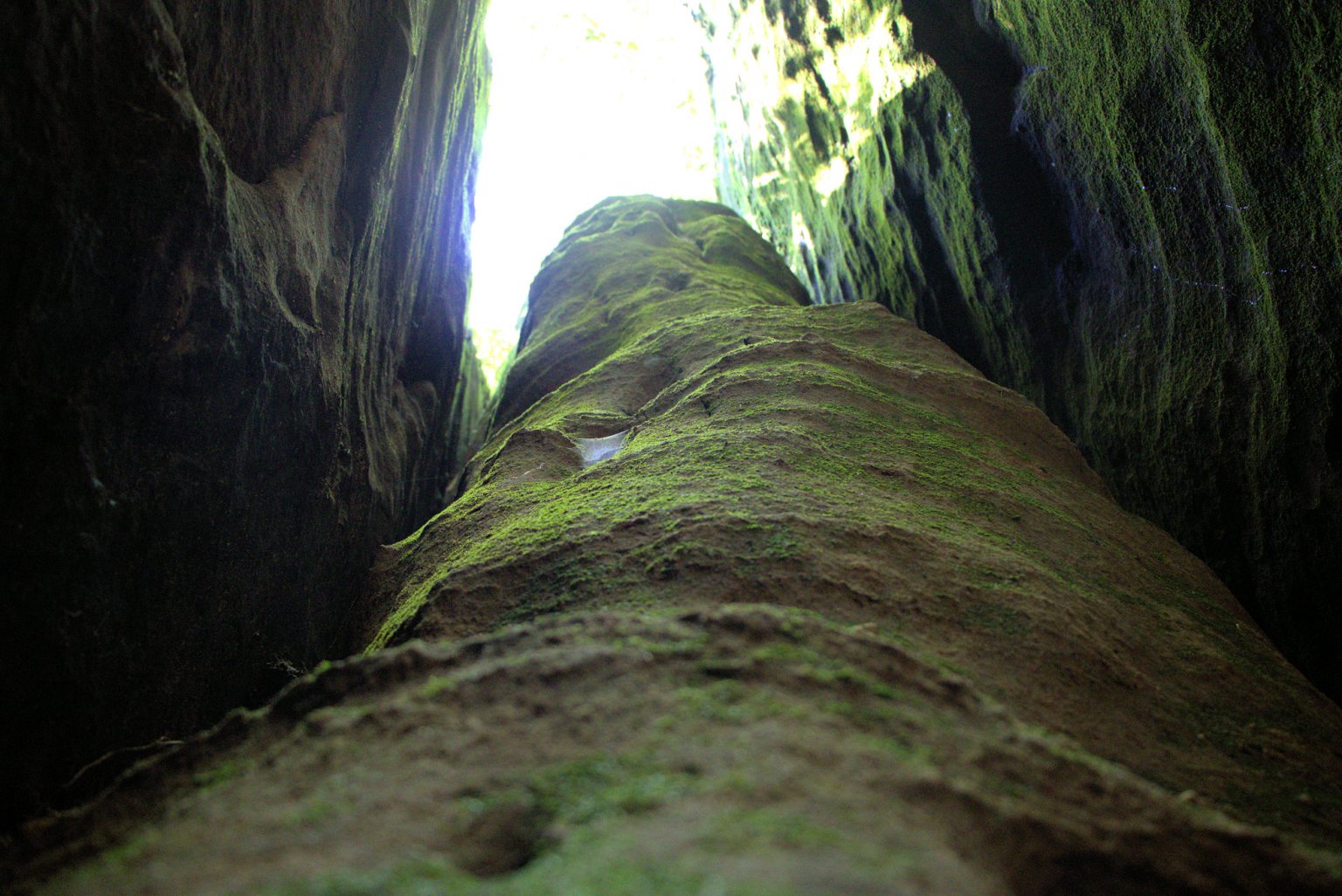 Mantle Rock Nature Preserve - Four Rivers Explorer