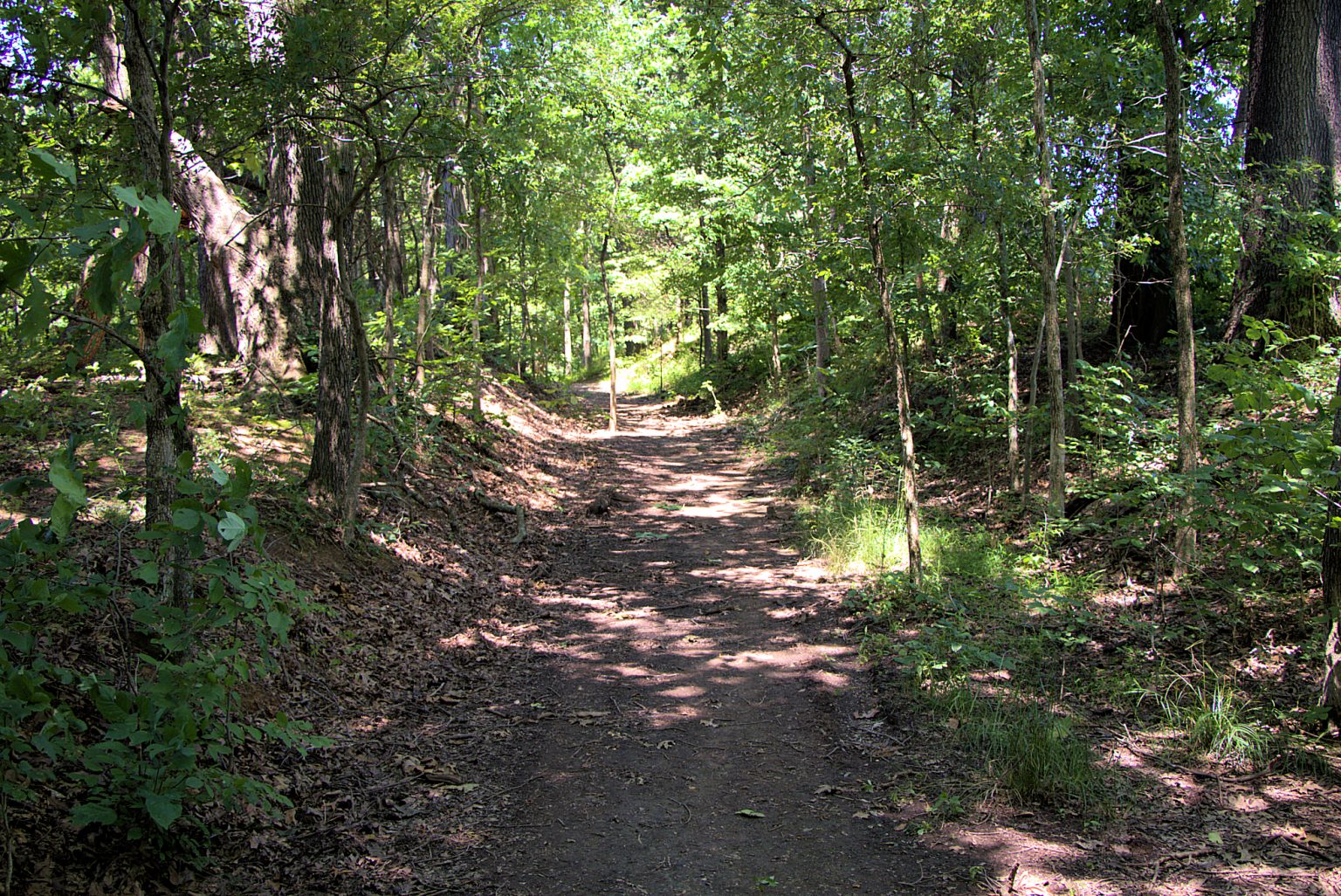 Mantle Rock Nature Preserve - Four Rivers Explorer