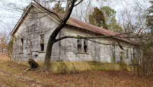 Read more about the article Kentucky Woodlands Wildlife Refuge