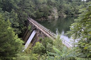 Read more about the article Pennyrile Forest State Park