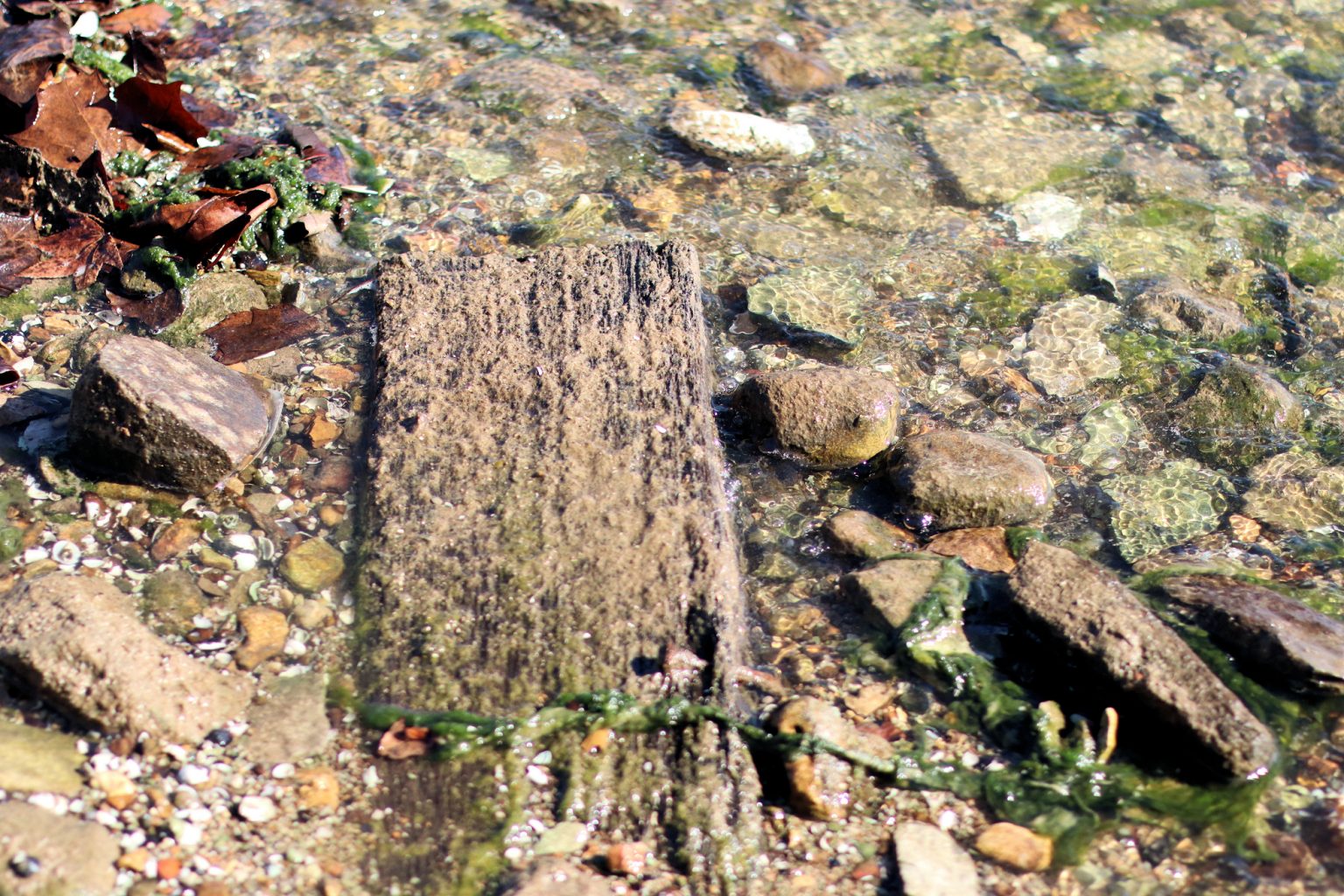 Kentucky Lake's 'Party Cove' The Creation of the Rock Quarry Four