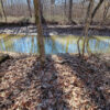 Exploring the Blood River Bottoms