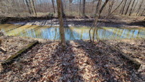 Read more about the article Exploring the Blood River Bottoms