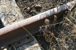 Severed Rail